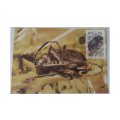 1987 - RSA Beetles -  Maximum Cards