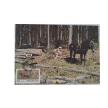 1986 - Venda Forestry -  Maximum Cards