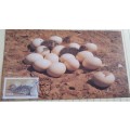 1985 -  SWA Ostrich Maximum Card - 16