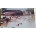 Vintage Unused Postcard - China -  Private Duck Farm