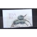 1988 - RSA - R1 - Trichocaulon cactiforme
