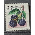 2000 - USA - 33 - Rubus Caesius