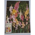 1985 -  South Africa -  SA Floral Emigrants -  Maximum Card
