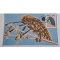 1987 -  South Africa -  Beetles-Kewers  -  Maximum Card