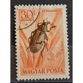 1954 - Hungary -  WM - 30 - Airmail - Insects