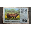 1970 - Ceylon (Sri Lanka) - 5 - Wild Buffalo