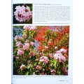 My Favourite Plants by Una Van Der Spuy | Hardcover