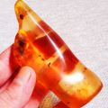 HUGE COPAL AMBER.  INSECTS AND OTHER INCLUSIONS. PARTLY POLISHED. GOOD PRICE!!