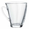 6 Piece Elegant Clear Glass Tea and Coffee Mug Set