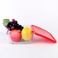 5 Piece Glass Bowls in Different Sizes with Colourful Lids