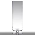 Modern Tall Footed Clear Glass Home Decoration Vase (12x40cm)