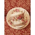 For Lindsay Only Royal Albert Moss Rose Tea Cup and Saucer