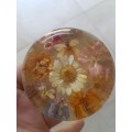 Fab Lucite Paper Weight with Dried Flowers