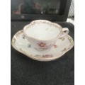 19th Century Meissen cup and saucer.