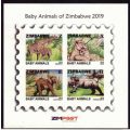 Zim 2019 Baby Animals MNH Huge cutting error