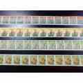 RSA 1977 Proteas issue coil strips of 25 MNH ( not numbered on back)