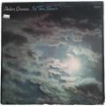 Peter Green In the Skies Vinyl LP - 1979