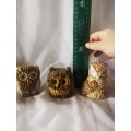 Another lovely lot of owls - perfect  for the collector