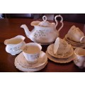 Royal Albert Haworth 21 piece tea set
