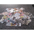 JUST OVER 300 CIGARETTE CARDS ALMOST LESS THAN A RAND EACH