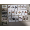 26 ALL DIFFERENT DOG CIGARETTE CARDS AT ONLY R5 EACH!!!!