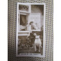 26 ALL DIFFERENT DOG CIGARETTE CARDS AT ONLY R5 EACH!!!!