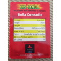 BIG-BALL RUGBY TRADING CARD- WESTERN PROVINCE / BOLLA CONRADIE