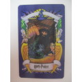 CHOCOLATE FROG  - 3D HOLOGRAPHIC HARRY POTTER TRADING CARD  - NORBERT - WARNER BROTHERS 2001