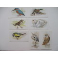 CIGARETTE CARDS - JOHN PLAYER  & SONS - GRANDEE BRITISH BIRDS -  7 CARDS