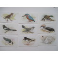 CIGARETTE CARDS - JOHN PLAYER  & SONS - GRANDEE BRITISH BIRDS -  9 CARDS