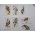 CIGARETTE CARDS - JOHN PLAYER  & SONS - GRANDEE BRITISH BIRDS -  7 CARDS