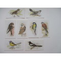 CIGARETTE CARDS - JOHN PLAYER  & SONS - GRANDEE BRITISH BIRDS -  8 CARDS