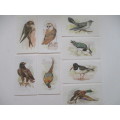 CIGARETTE CARDS - JOHN PLAYER  & SONS - GRANDEE BRITISH BIRDS -  8 CARDS