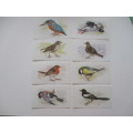 CIGARETTE CARDS - JOHN PLAYER  & SONS - GRANDEE BRITISH BIRDS - 8 CARDS