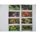 CIGARETTE CARDS  -  BROOKE BOND OXO -  WOODLAND WILDLIFE - LOT OF 8 CARDS