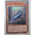 YU-GI-OH TRADING CARD - GLUTTONOUS REPTOLPHIN  GREETHYS