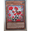 YU-GI-OH TRADING CARD - ROSE GIRL