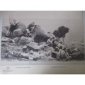 BEAUTIFUL VINTAGE POSTER / PRINT - DANIE THERON`S SCOUTS IN ACTION - 39 CM PERIOD OF THE BOER WAR