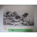 BEAUTIFUL VINTAGE POSTER / PRINT - DANIE THERON`S SCOUTS IN ACTION - 39 CM PERIOD OF THE BOER WAR