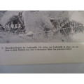 VINTAGE / POSTER / PRINT - BOER SENTRIES AT LADYSMITH - PERIOD OF THE BOER WAR 39CM