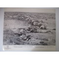 VINTAGE / PRINT / POSTER - BRITISH TROOPS ON THE ATTACK - BOER WAR PERIOD - 39 CM