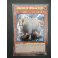 YU-GI-OH TRADING CARD - TANNGRISNIR OF THE NORDIC BEASTS / FOIL CARD / SHINY