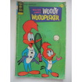 GOLD KEY COMICS - WOODY WOODPECKER -  NO.  146  - 1975
