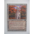 MAGIC THE GATHERING - URZA`S TOWER - FOREST - ANTIQUITIES