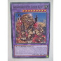 YU-GI-OH TRADING CARD - AMAZONESS PET LIGER KING