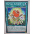 YU-GI-OH TRADING CARD - NATURIA BLESSING