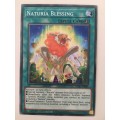 YU-GI-OH TRADING CARD - NATURIA BLESSING