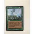 MAGIC THE GATHERING - SPORE CLOUD ONE SET  AND ONE FREE