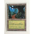 MAGIC THE GATHERING - FOREST 4TH EDITION LOT OF 4  CARDS 1 SET