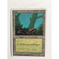 MAGIC THE GATHERING - FOREST 4TH EDITION LOT OF 4  CARDS 1 SET